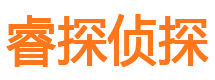 铜陵侦探公司